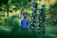 2025 Hannah & Daniel-18